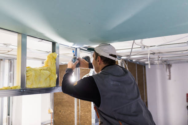 Best Specialized Insulation Services in Lakes East, CT